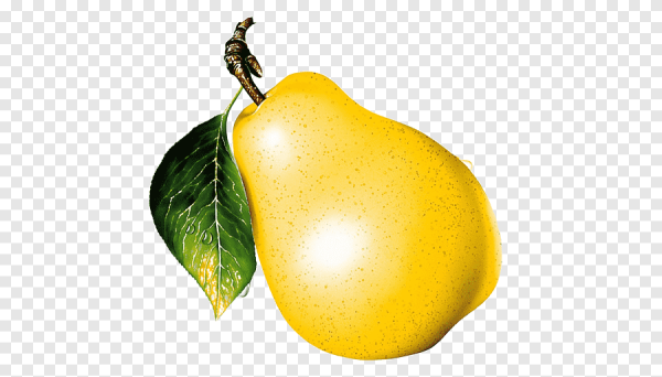 Груша для презентации