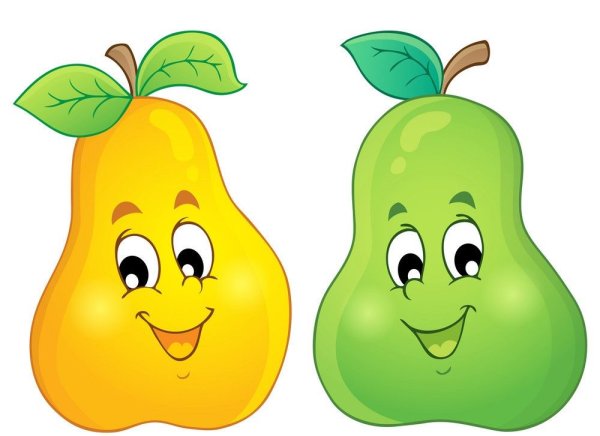 Груша красивая