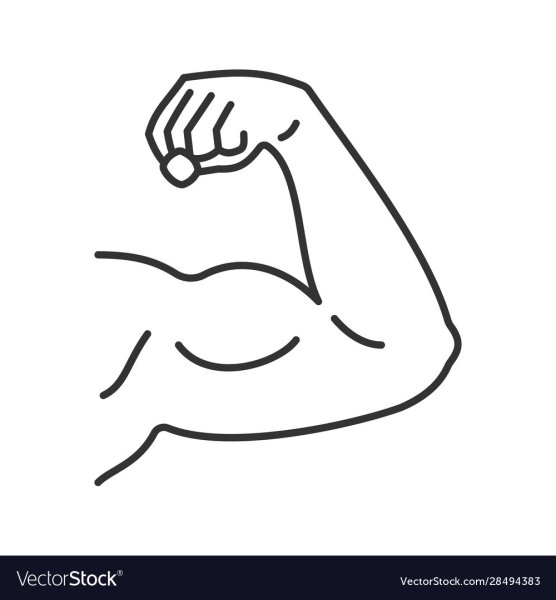 Бицепс раскраска