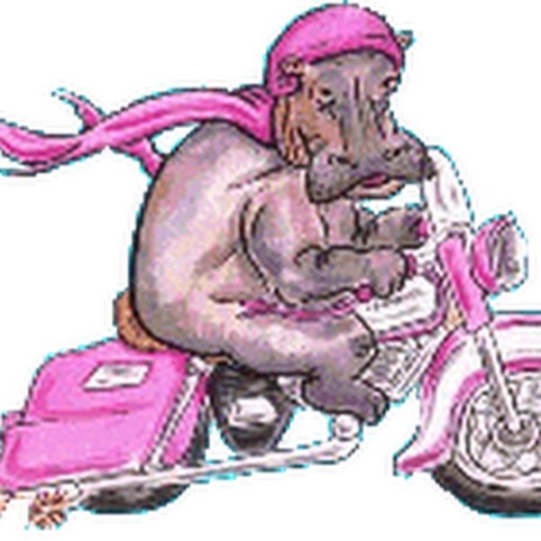 Смайлы байкеры России