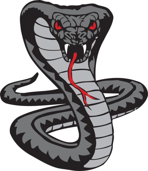 Змеи на аву