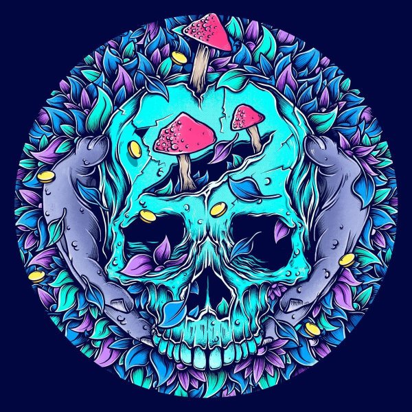 Психоделический череп