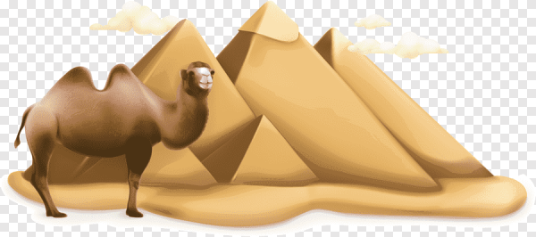 Верблюд Египет вектор