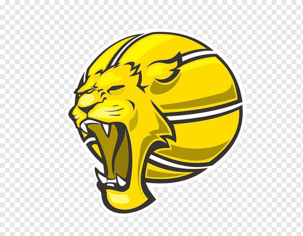 Веселый баскетбольный мяч