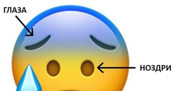 Смайлик с ноздрями