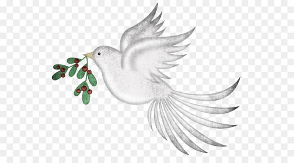 Голубь с веткой на прозрачном фоне