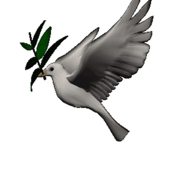 Птицы анимация на прозрачном фоне