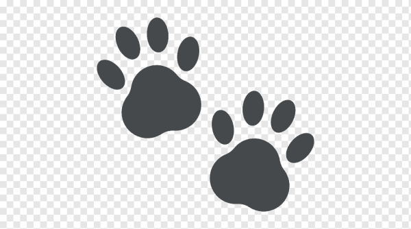 Смайлик лапки