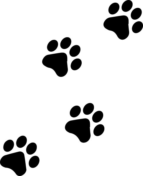 Эскиз лапки