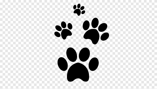 Отпечаток лапы собаки прозрачный