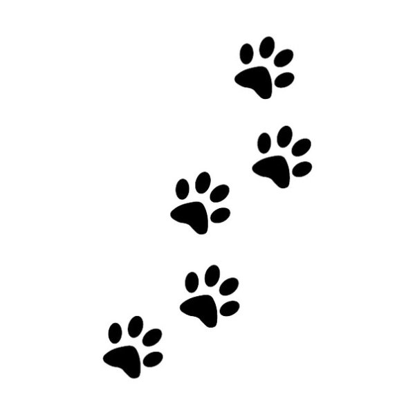 Отпечаток лапы кошки