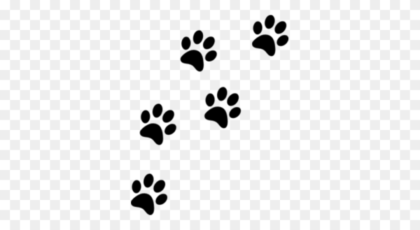 Кошачьи следы клипарт