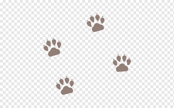 Отпечаток собачьей лапы на прозрачном фоне
