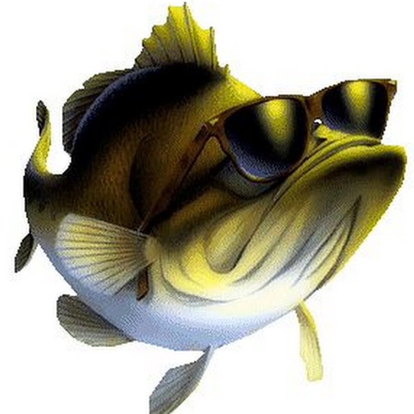 Смешные рыбы