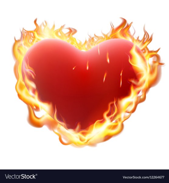 Сердце в огне