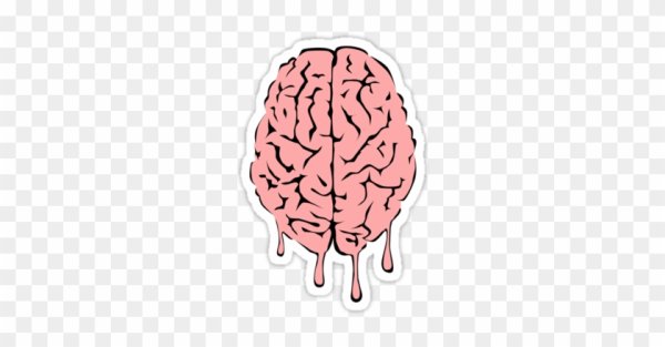 Мозг для ФШ