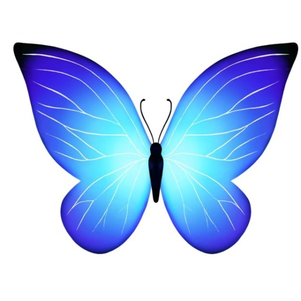 Бабочки клипарт