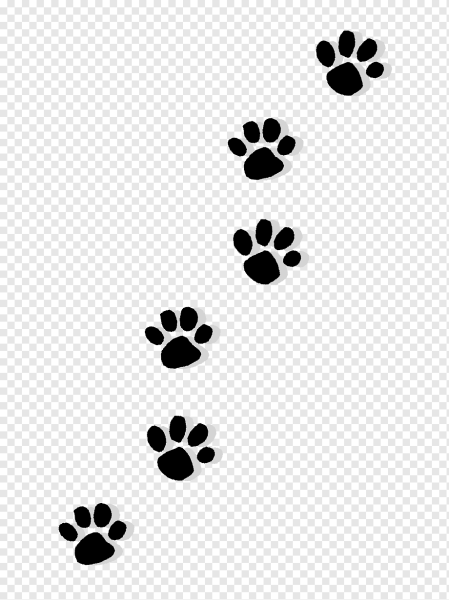 Щенячий патруль следы лап