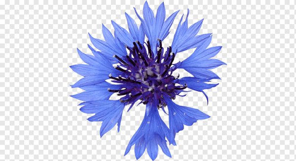 Голубой смайлик