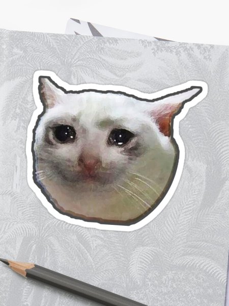 Плачущий кот