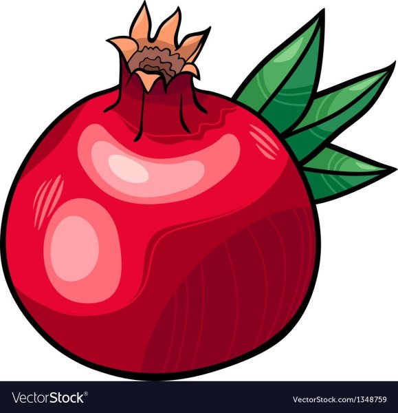 Гранат на прозрачном фоне