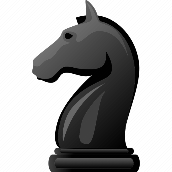 Профиль шахматного коня