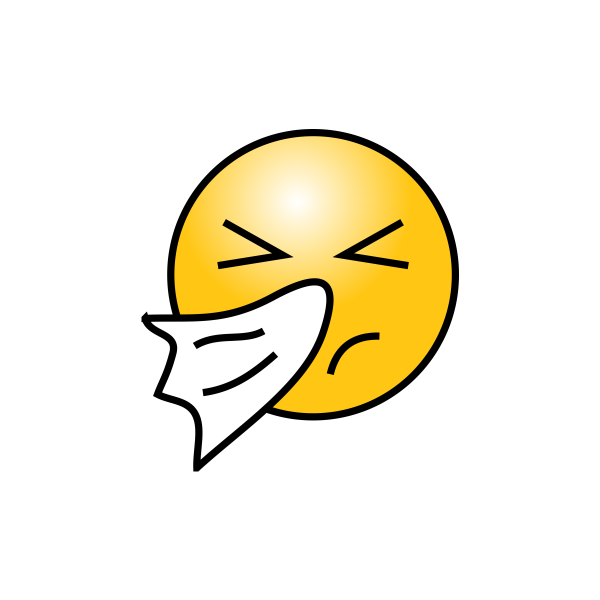 Носовой платок