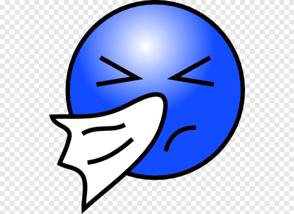 Носовой платок PNG