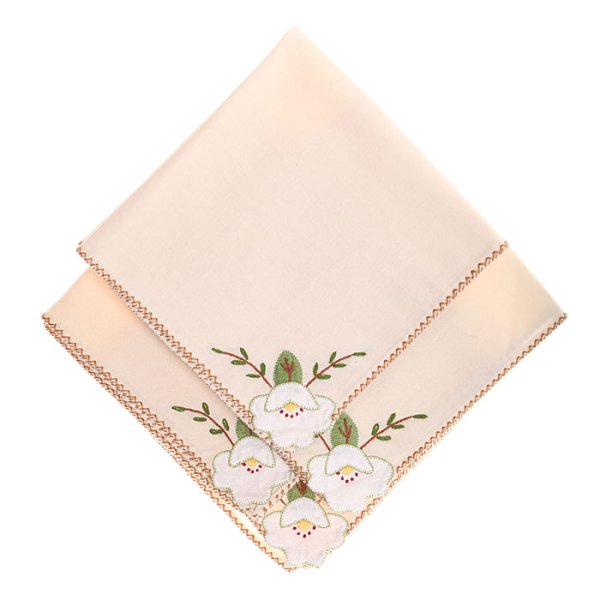 Носовой платок картинка для детей