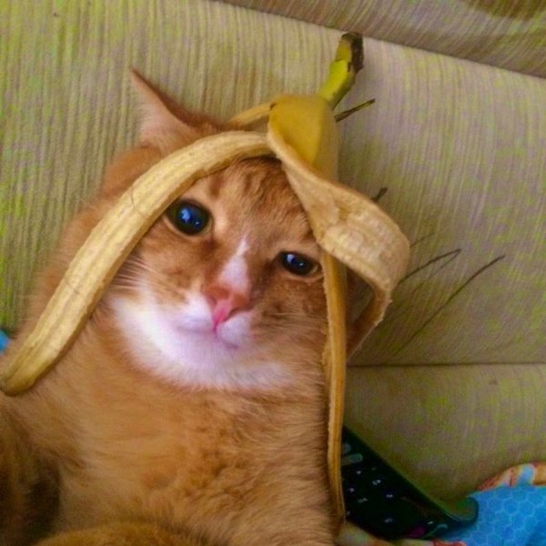 Стикеры сталкер бандиты