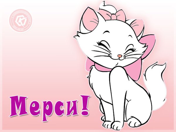 Спасибо кошечка