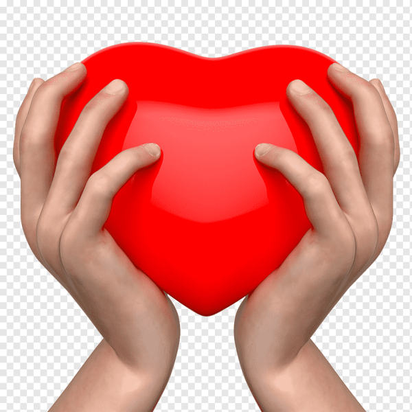 Сердце в руках