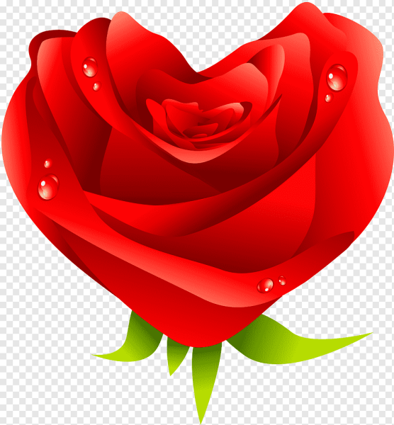 Стикер Розочка