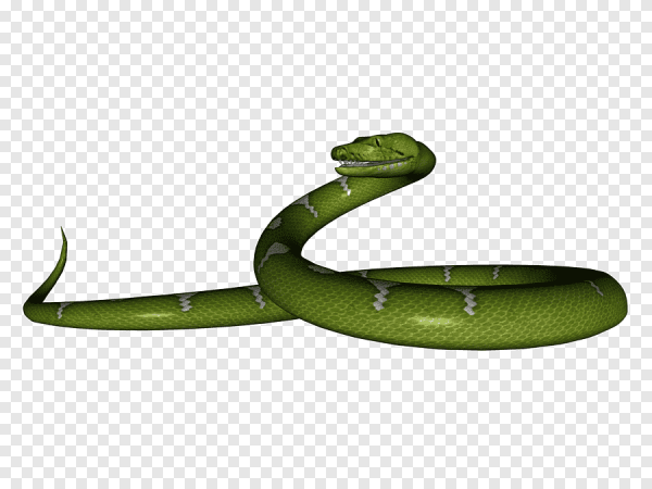 Зеленая змея для фотошопа