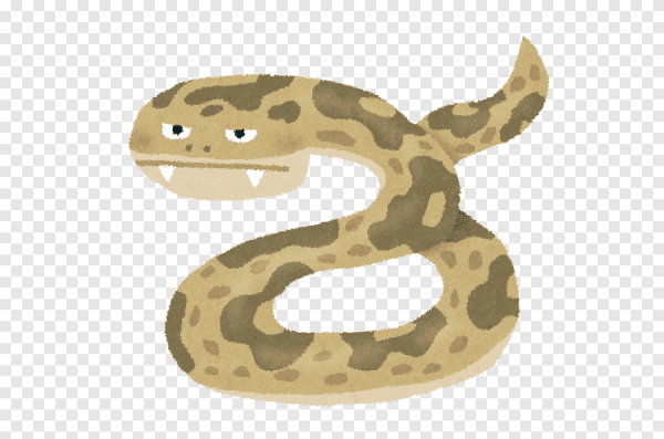 Спокойствие удава PNG