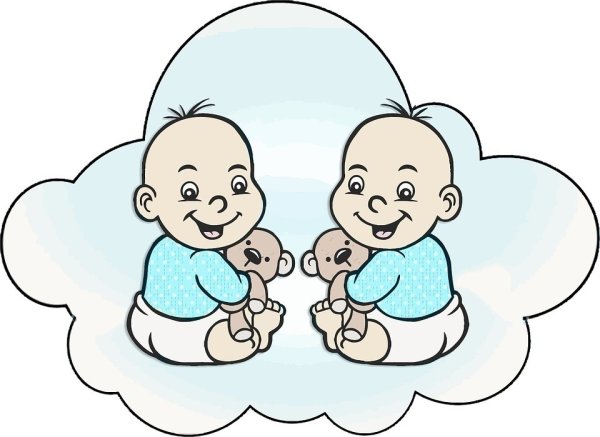 С рождением двойни