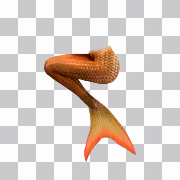 Белка сирена