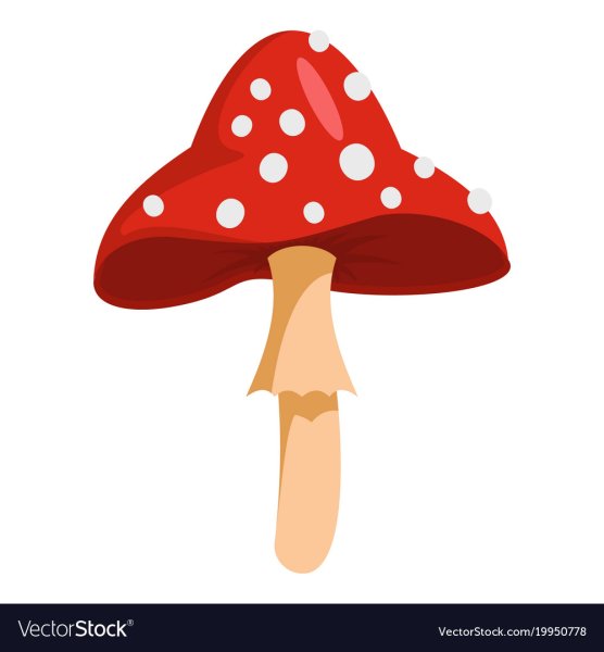 Мухомор вектор