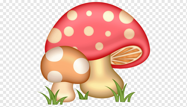 Смайлик гриб