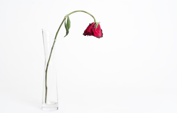 Смайлик с розой