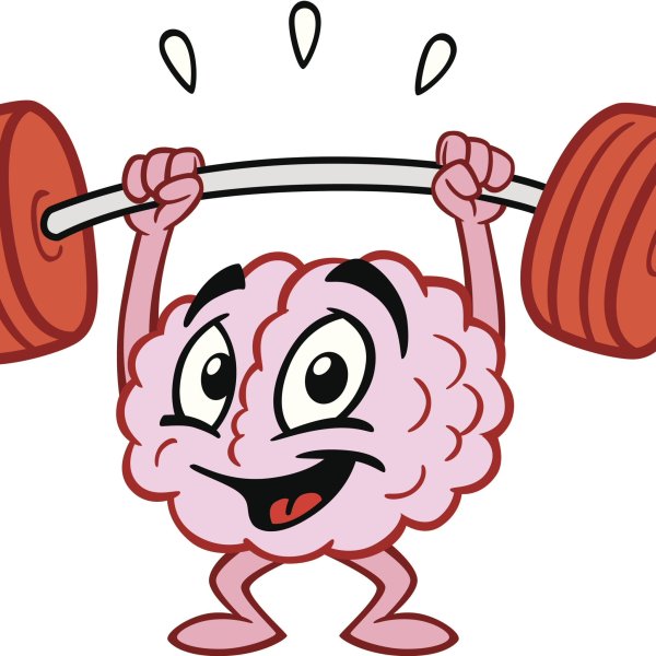 Мозг с гантелями