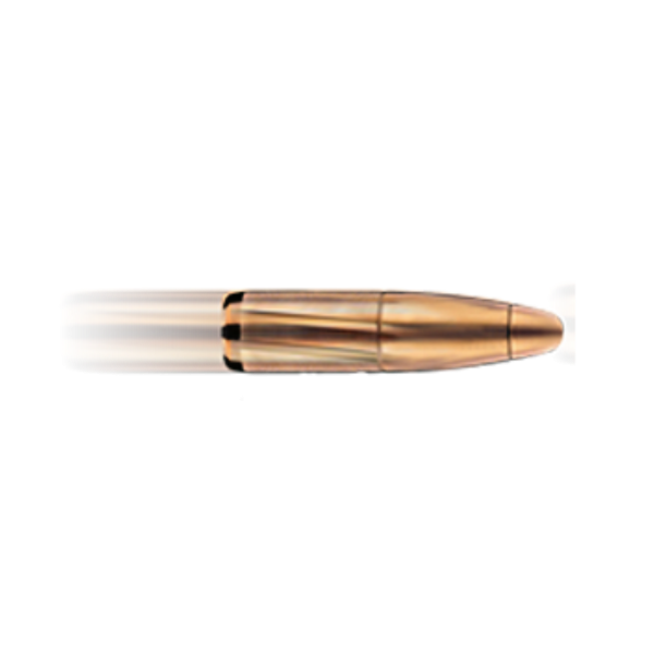 8x58 Bullet