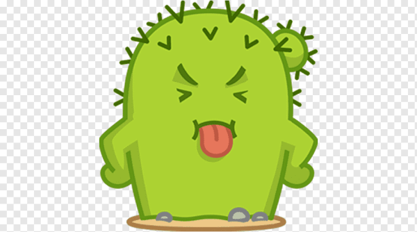 Кактус Сан Педро мульт