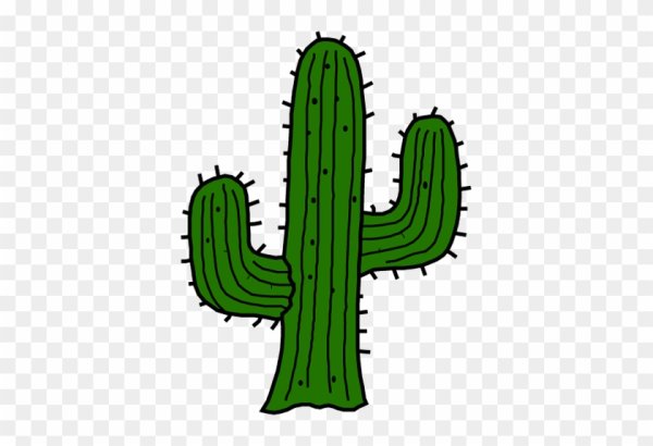 Браун старс Кактус