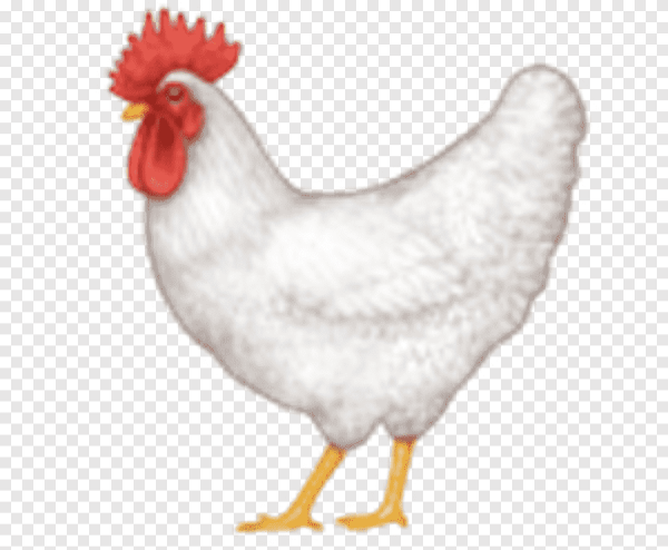 Смайл курица