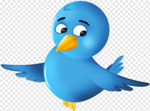 Кукушка на прозрачном фоне