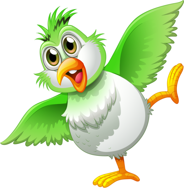 Кукушка на белом фоне