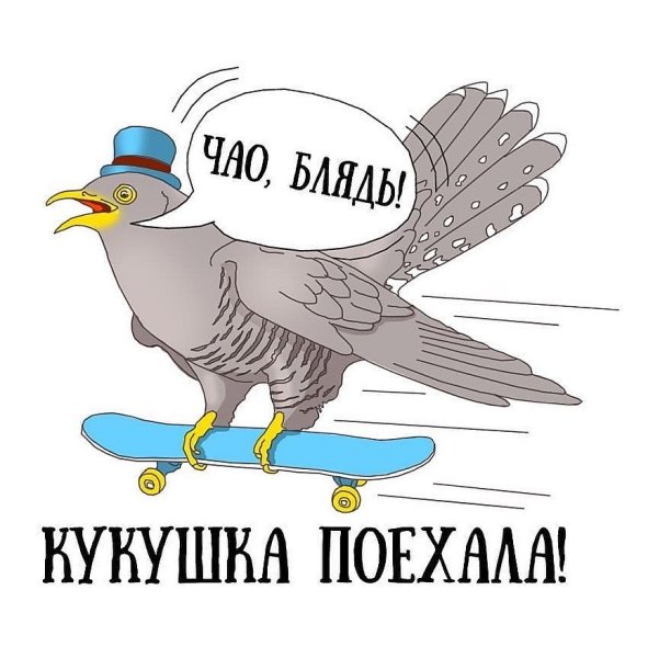 Часы с кукушкой прикол gif