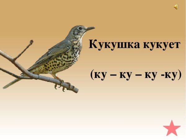 Кукушка прикол