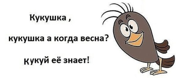 Кукушонок мультяшный